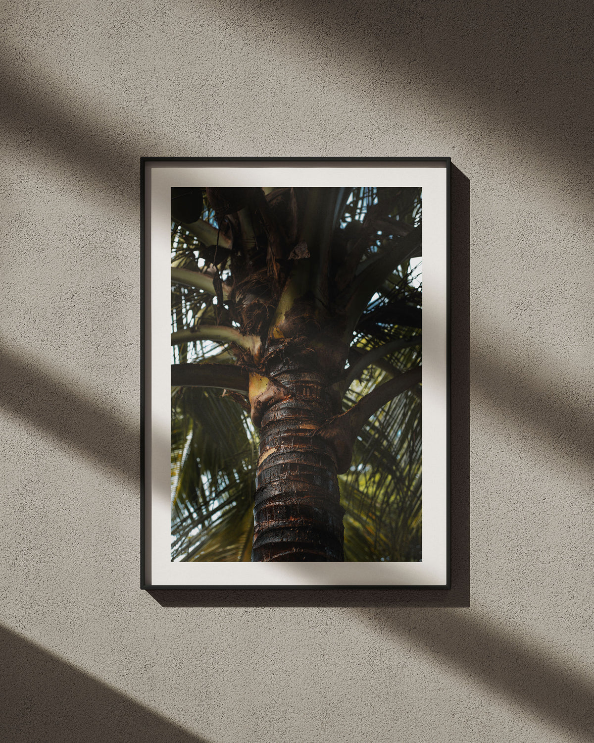 The Perspiring Palm