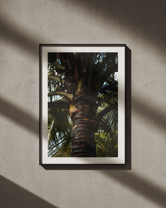 The Perspiring Palm
